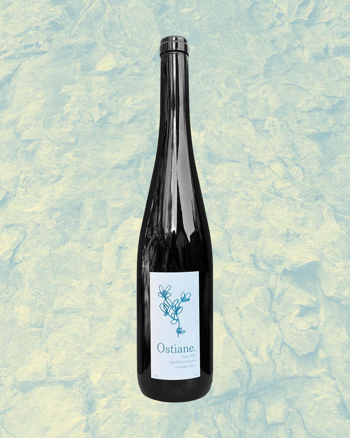 Vin naturel du valais suisse savagnin paien heida