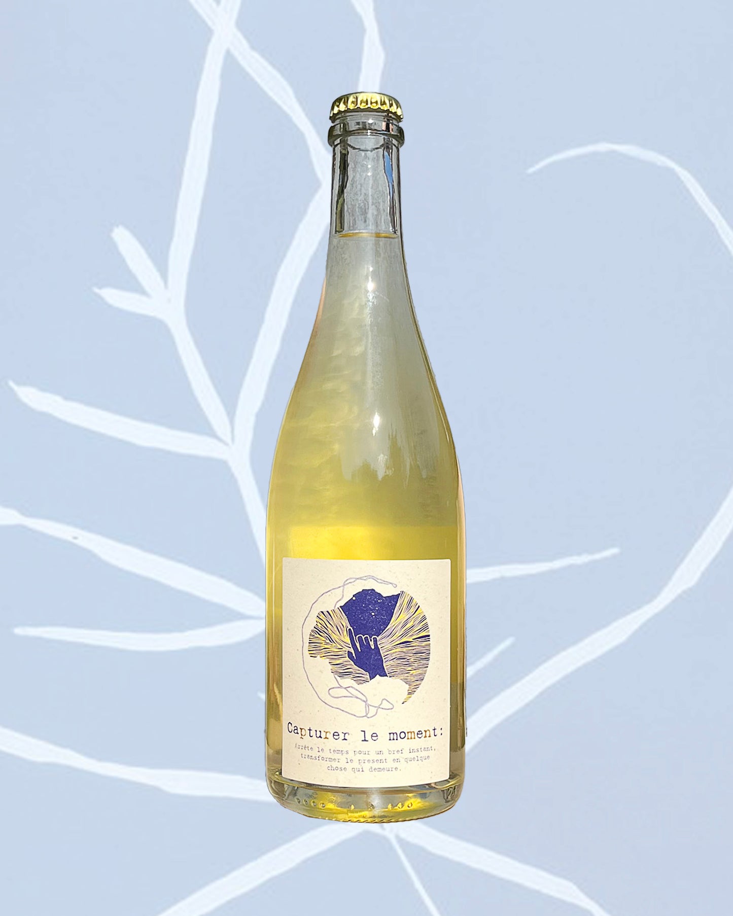 Bouteille vin naturel pétnat chardonnay jura rare