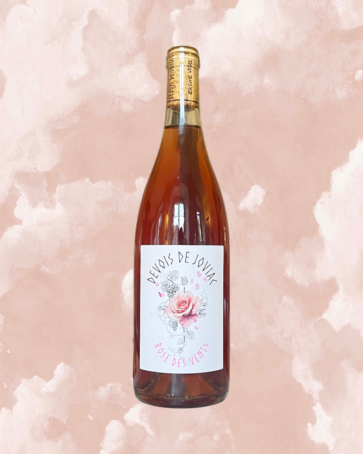 Rose des Vents 2024