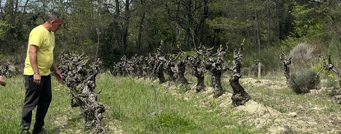 Domaine Charlotte & Aurélien Houillon