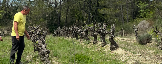 Domaine Charlotte & Aurélien Houillon