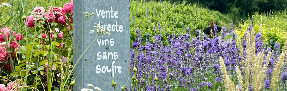 Domaine de Chèrouche