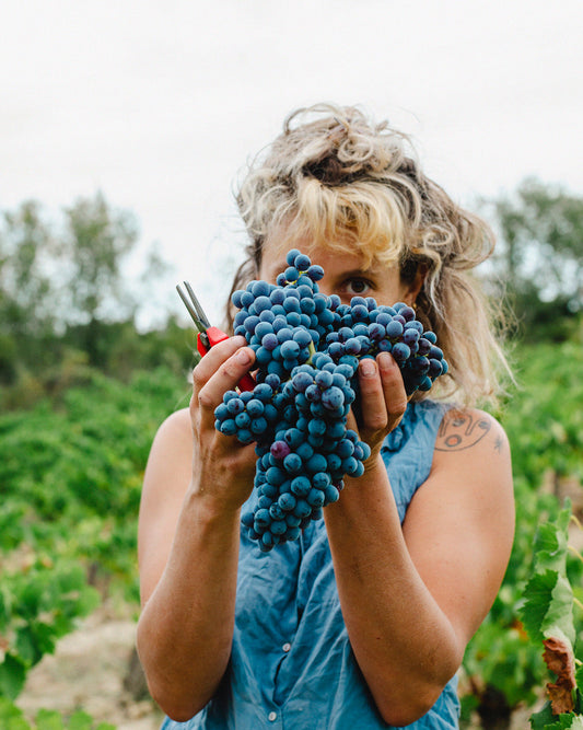 Riu Pintat domaine des cévennes