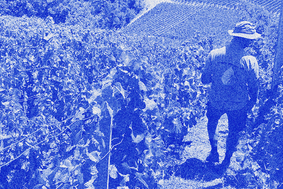 Domaine Ostiane
