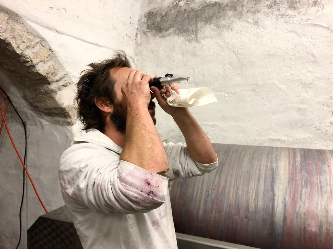 Aurèle Morf / Caves Saint-Germain