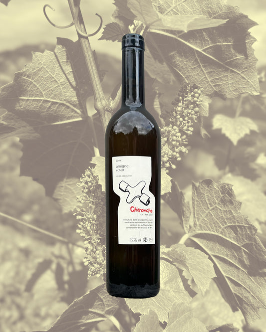 Bouteille de vin blanc du valais amigne 2019
