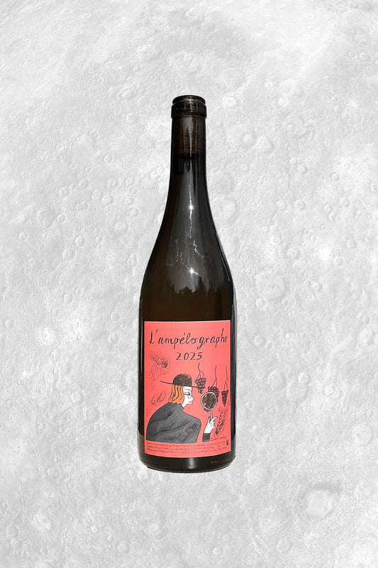 Bouteille vin blanc naturel jura thibaud pierson savagnin